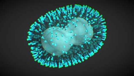 Mpox Virus use .jpeg